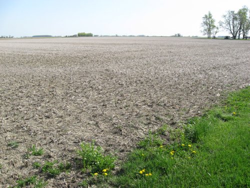 Property photo 25 - 172 Acres Offered in 3 Tracts - Prime Farmland